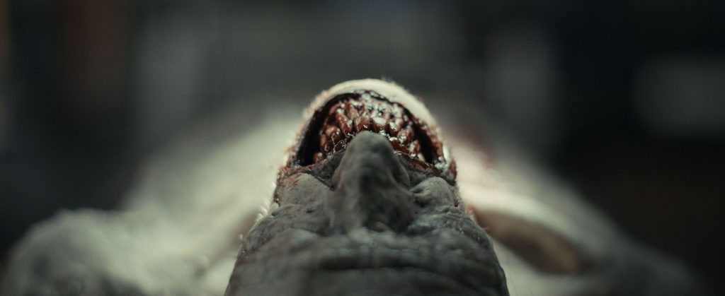 A terrifying corpse (probably a monster) in The Cycle - Still Photograph