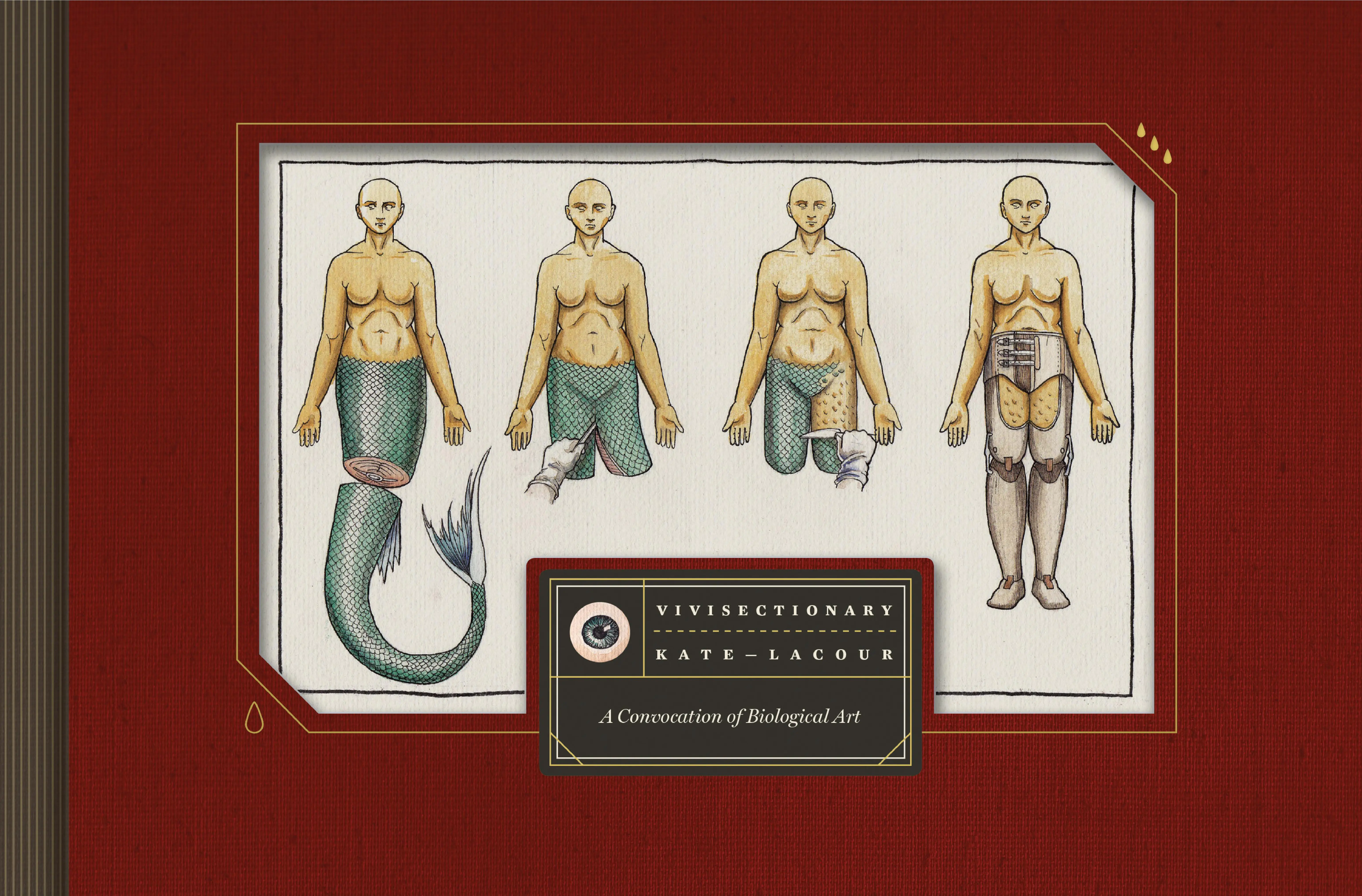 Best Body Horror: Vivisectionary